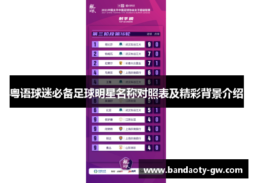 粤语球迷必备足球明星名称对照表及精彩背景介绍